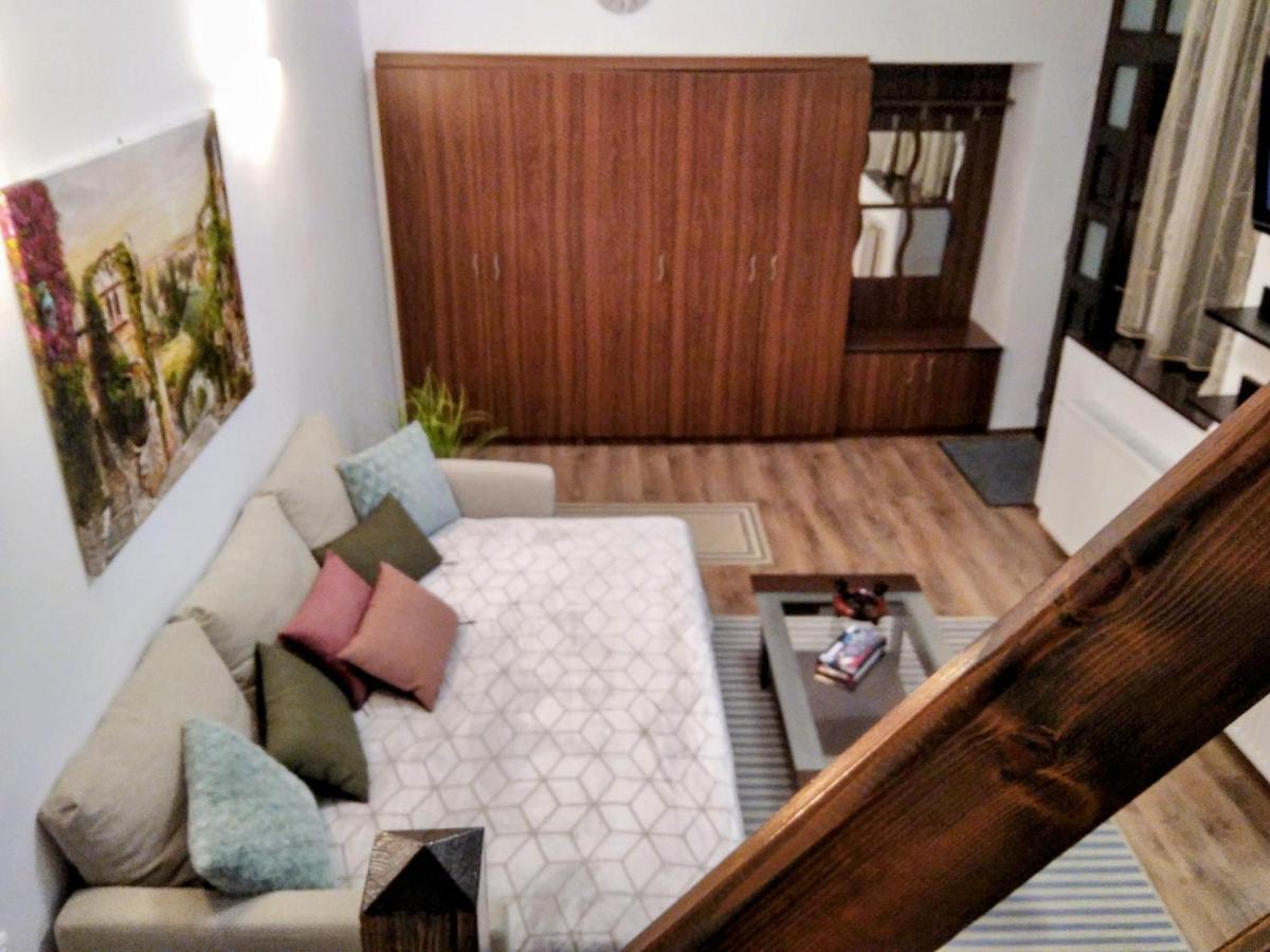 Lovely Central Apartment 布拉索夫 外观 照片