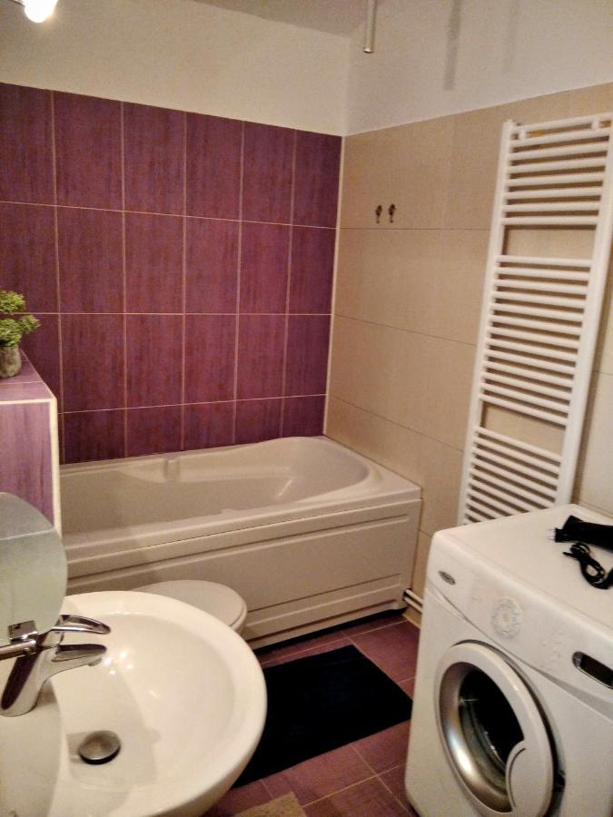Lovely Central Apartment 布拉索夫 外观 照片